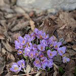 Photo n°3 de l'avis de Daniele.e fait le 24/03/2019 à 11:06 sur le  Emma Historic Hotel à Niederdorf