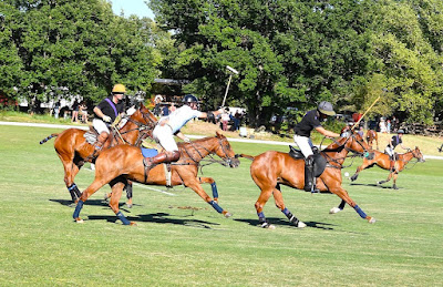 Saint Cannat Polo Club à Saint-Cannat