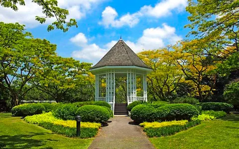 Singapore Botanic Gardens image