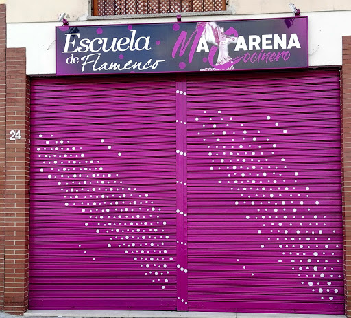 Imagen del negocio Escuela de Flamenco "Macarena Cocinero" en Morón de la Frontera, Sevilla