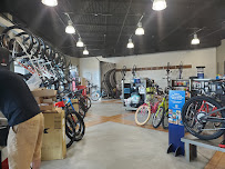Oliver's Cycle Sports - Photo 3 - Car repair in Tampa, FL, Tampa