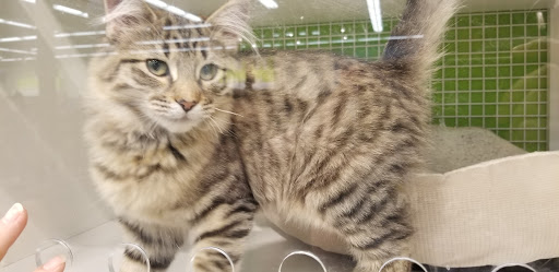 Pet Supply Store «Petco Animal Supplies», reviews and photos, 12444 NW 10th St #301, Yukon, OK 73099, USA