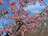 のまうまハイランド まきば館