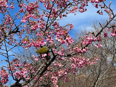 のまうまハイランド まきば館
