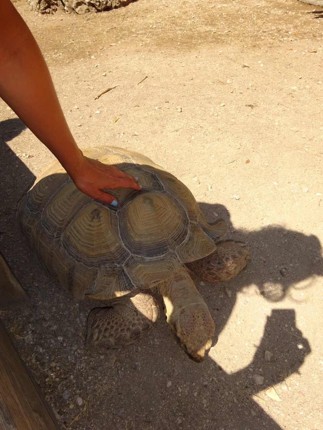 Photo n° 1 de l'avis de GONZALEZ.a fait le 23/08/2019 à 20:37