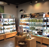 Oggi Salon - Photo 2 - Car repair in Melbourne, FL, Palm Bay