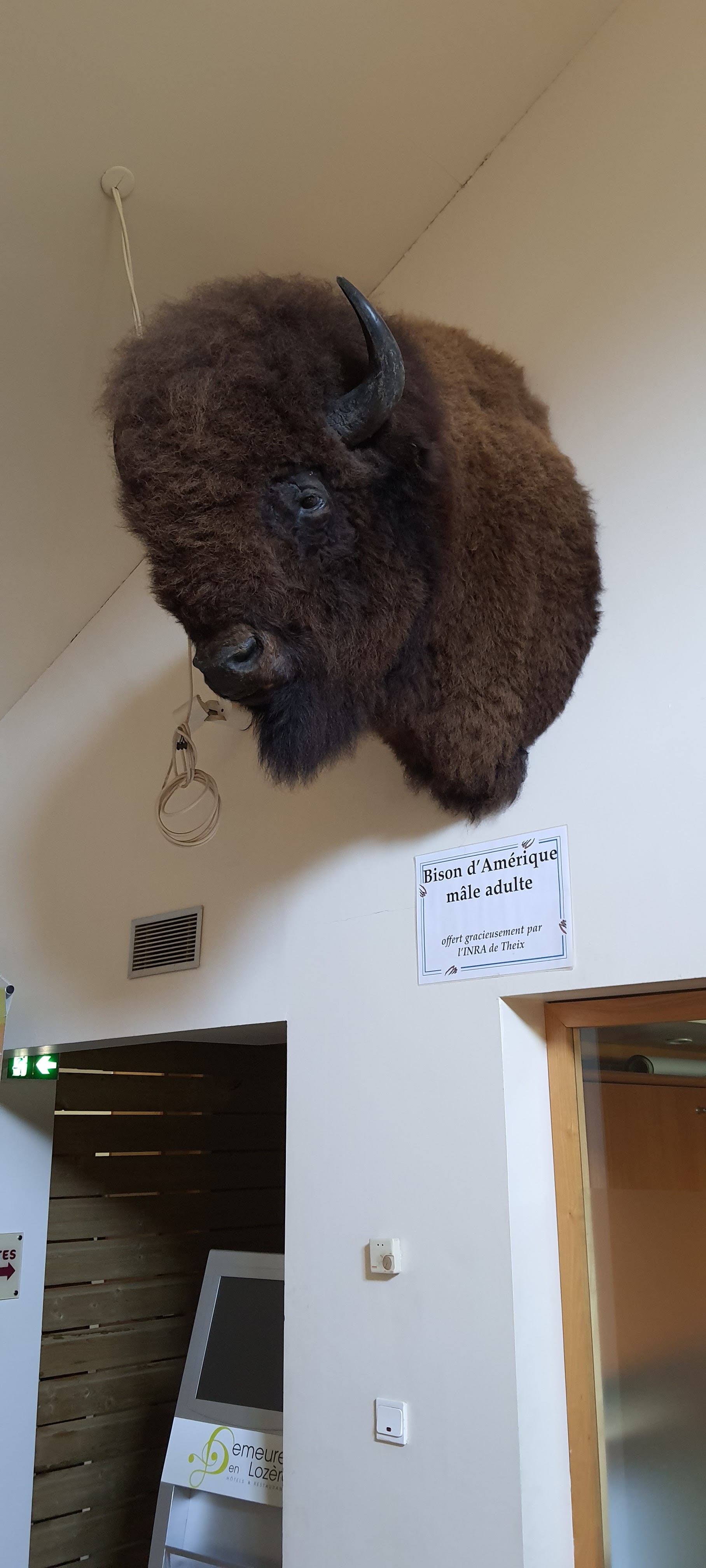 Photo n° 3 de l'avis de Benjamin.o fait le 22/08/2021 à 17:09