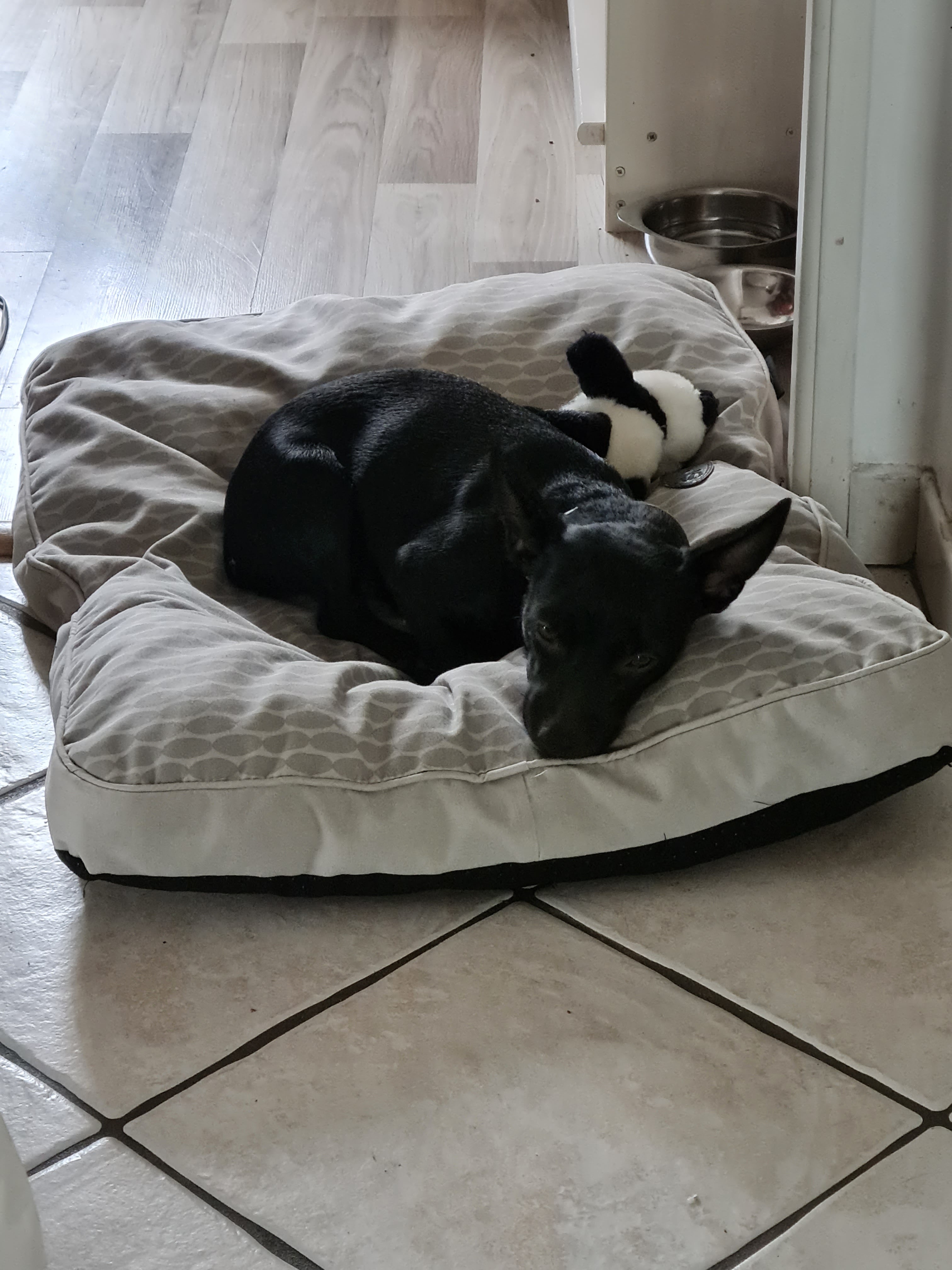 Photo n° 2 de l'avis de Sophie.A fait le 18/10/2021 à 16:49