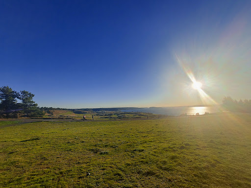 Public Golf Course «Chambers Bay», reviews and photos, 6320 Grandview Dr W, University Place, WA 98467, USA