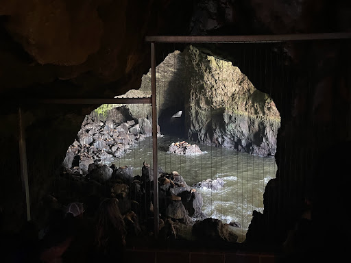 Tourist Attraction «Sea Lion Caves», reviews and photos, 91560 US-101, Florence, OR 97439, USA