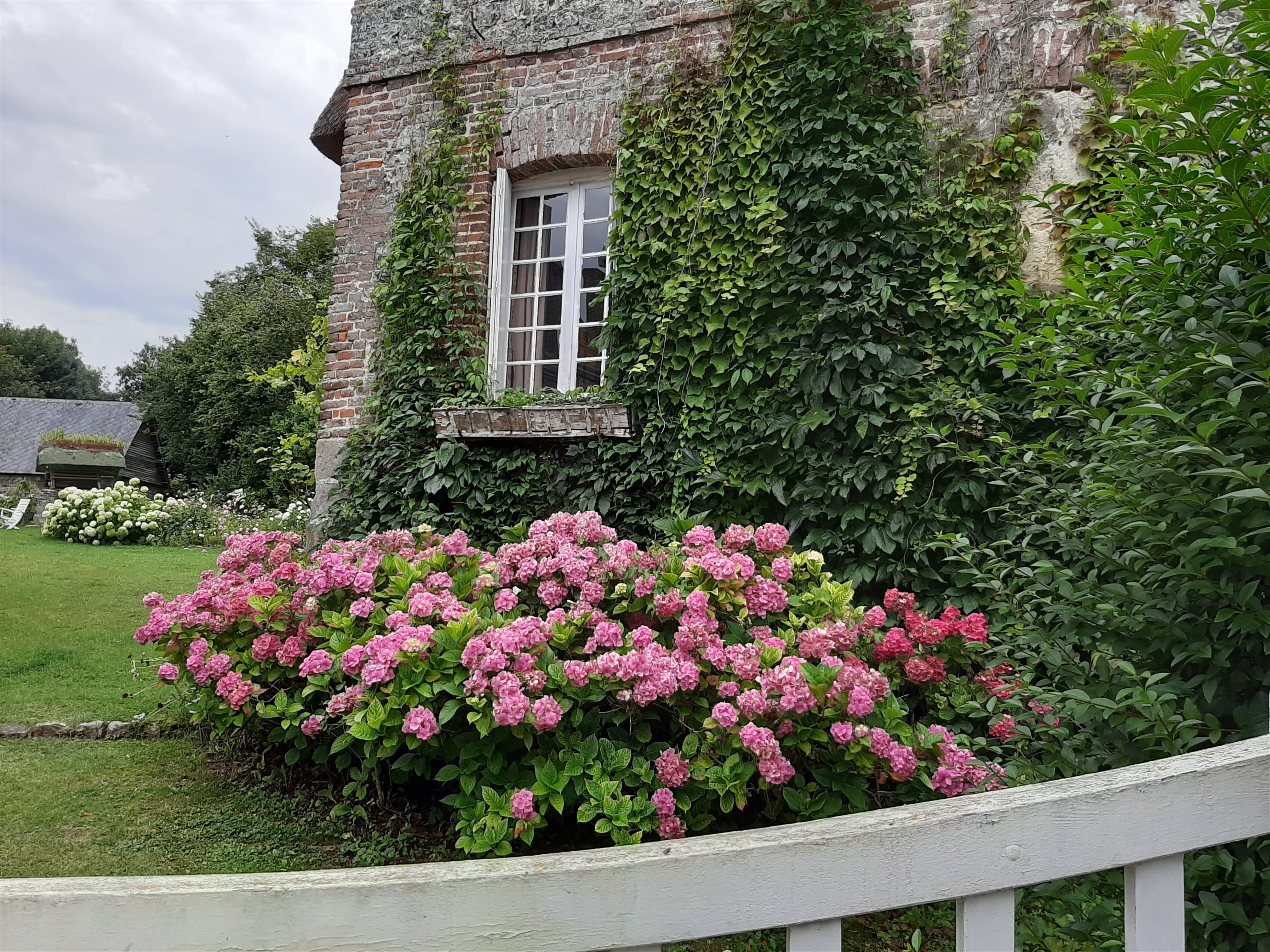 Photo n° 19 de l'avis de Irene.r fait le 09/09/2019 à 16:03