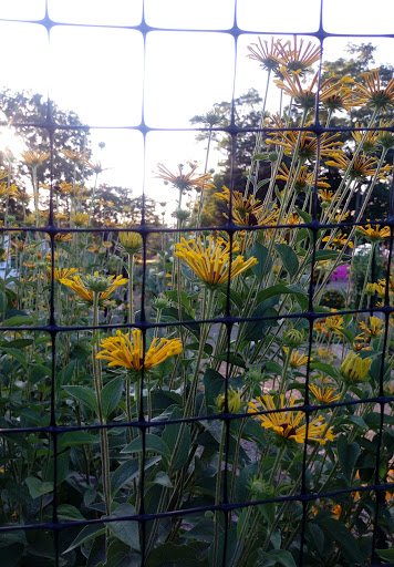  «Mt Hope Farm», reviews and photos, 250 Metacom Ave, Bristol, RI 02809, USA