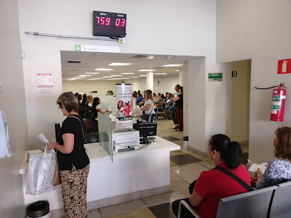 GreenLine Penha Emissão de Guias França São Paulo