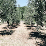 Photo n°3 de l'avis de manu.a fait le 12/09/2019 à 01:35 sur le  Hotel & Restaurant Casolare le Terre Rosse à San Gimignano