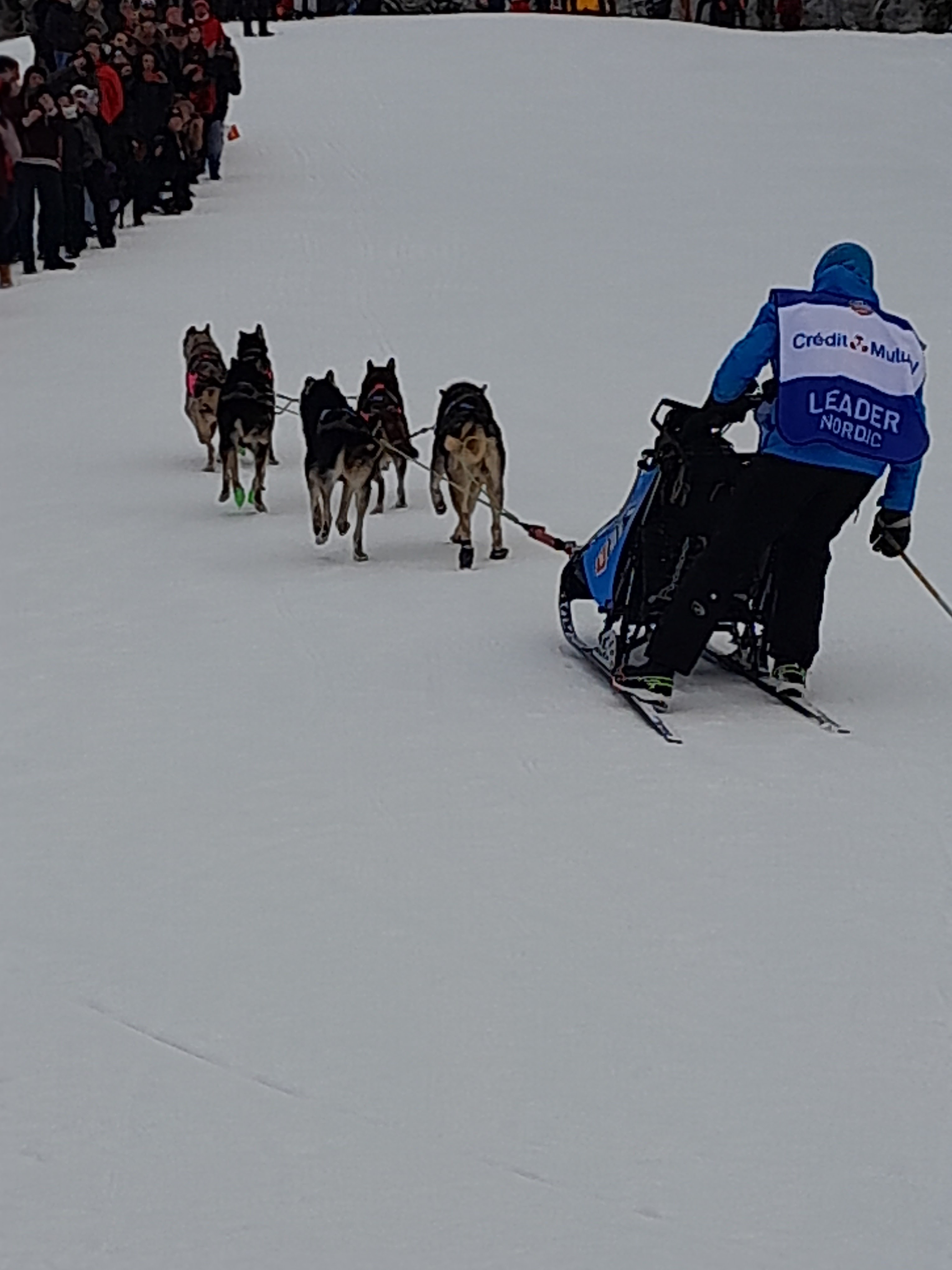 Photo n° 1 de l'avis de Bruno.a fait le 17/01/2024 à 13:08