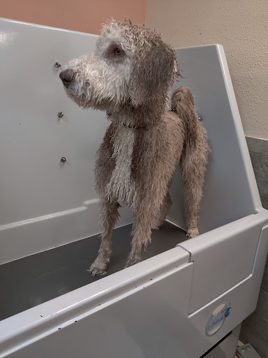 Pet Supply Store «Pet Food Gone Wild», reviews and photos, 2415 Southern Blvd SE, Rio Rancho, NM 87124, USA