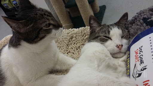 Pet Supply Store «Nashville Pet Products Center», reviews and photos, 7085 Old Harding Pike, Nashville, TN 37221, USA