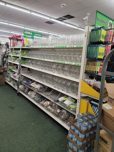 Dollar Store «Dollar Tree», reviews and photos, 7373 52nd Pl E, Bradenton, FL 34203, USA
