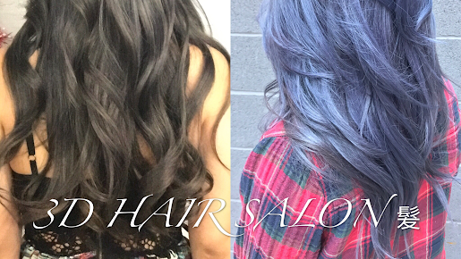 3D Hair Salon Inc