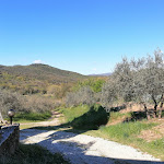 Photo n°16 de l'avis de Gaia.o fait le 26/04/2021 à 09:14 sur le  Podere Scoldasu à Massa Marittima
