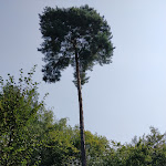 Photo n°2 de l'avis de Carsten.u fait le 02/09/2019 à 06:46 sur le  Waldheim Berkheim à Esslingen