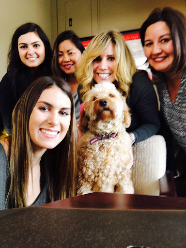 Insurance Agency «State Farm Insurance Agent - Diane Viadero CLU», reviews and photos