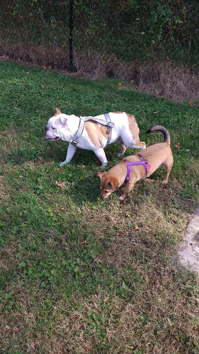 Park «Maryland City Park», reviews and photos, 565 Brock Bridge Rd, Laurel, MD 20724, USA