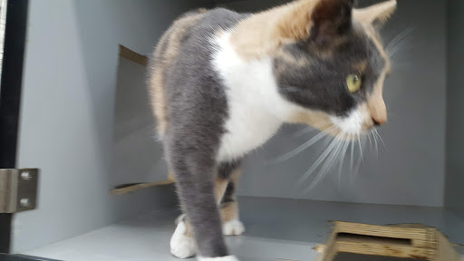 Pet Supply Store «Pet Supplies Plus», reviews and photos, 1433 E Main St, Owosso, MI 48867, USA