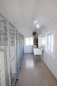 The Dog Kennel Collection - Photo 8 - Car repair in Willow Street, PA, Lancaster