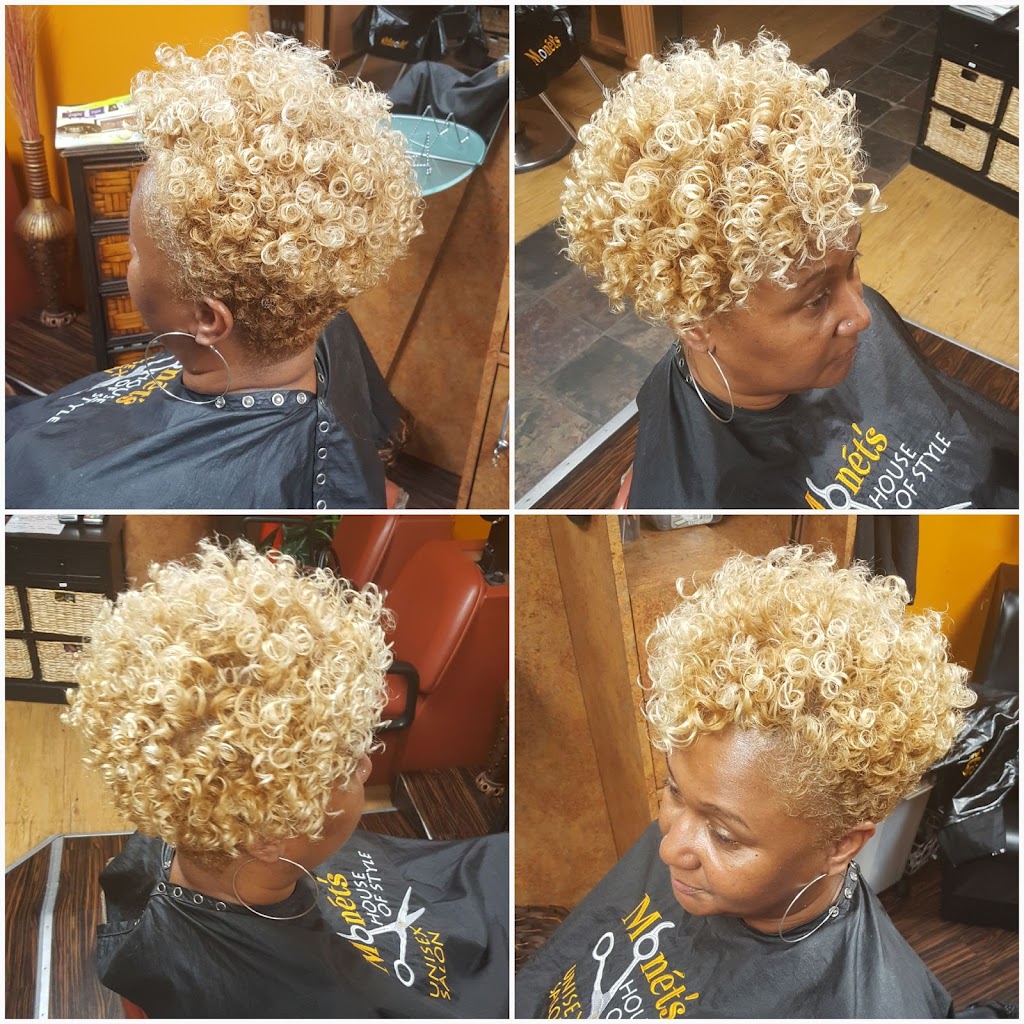 Monet's House of Style, LLC 20745