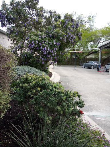 Car Detailing Service «The Wash Tub», reviews and photos, 1054 N Business Ih 35, New Braunfels, TX 78130, USA