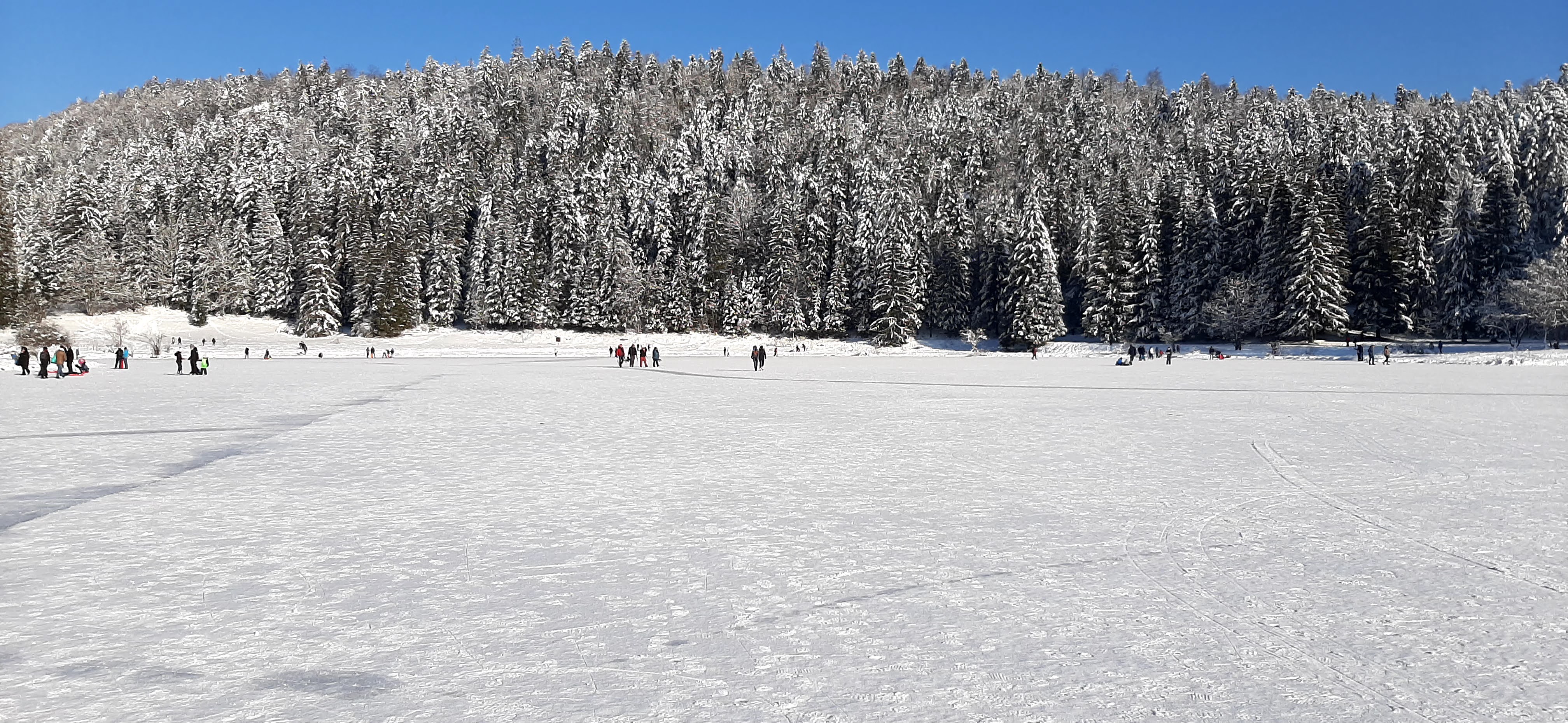 Photo n° 6 de l'avis de Nade. fait le 10/01/2021 à 19:51
