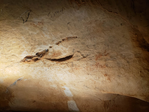 Wedding Venue «Melrose Caverns», reviews and photos, 6639 N Valley Pike, Harrisonburg, VA 22802, USA