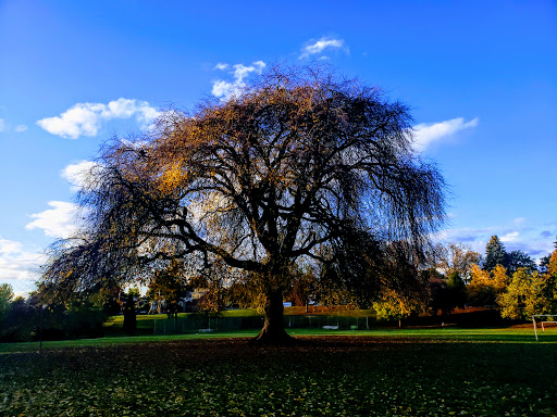 Park «Overlook Park», reviews and photos, 1599 N Fremont St, Portland, OR 97227, USA