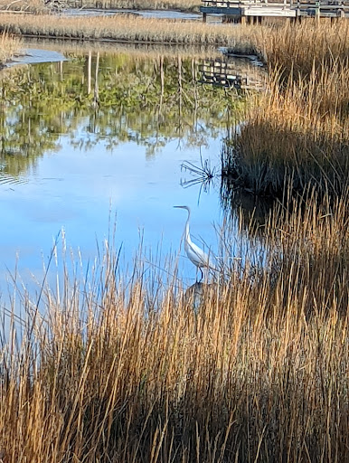Aquarium «North Carolina Aquarium at Pine Knoll Shores», reviews and photos, 1 Roosevelt Blvd, Pine Knoll Shores, NC 28512, USA