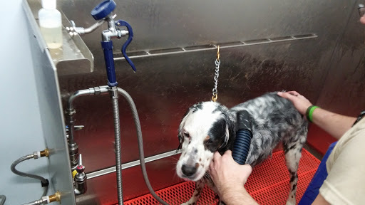 Pet Supply Store «Atlas Pet Supply», reviews and photos, 17375 US-10, Elk River, MN 55330, USA