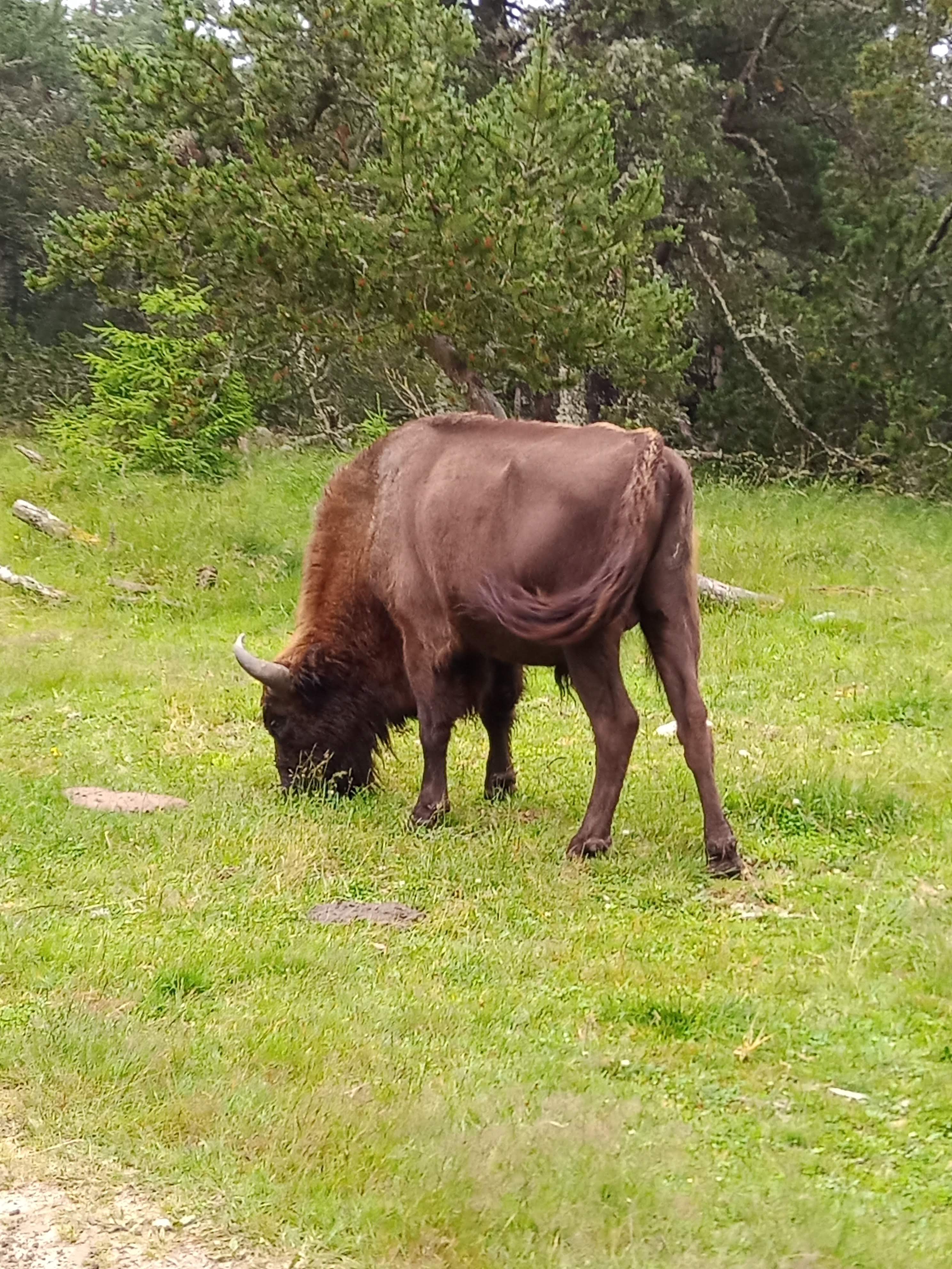Photo n° 4 de l'avis de Marj.a fait le 18/07/2021 à 21:04