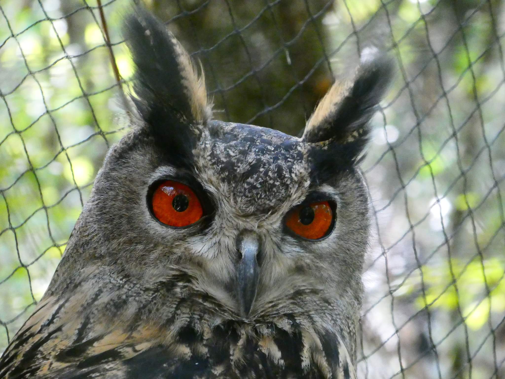 Photo n° 9 de l'avis de flo.g fait le 20/08/2022 à 16:30