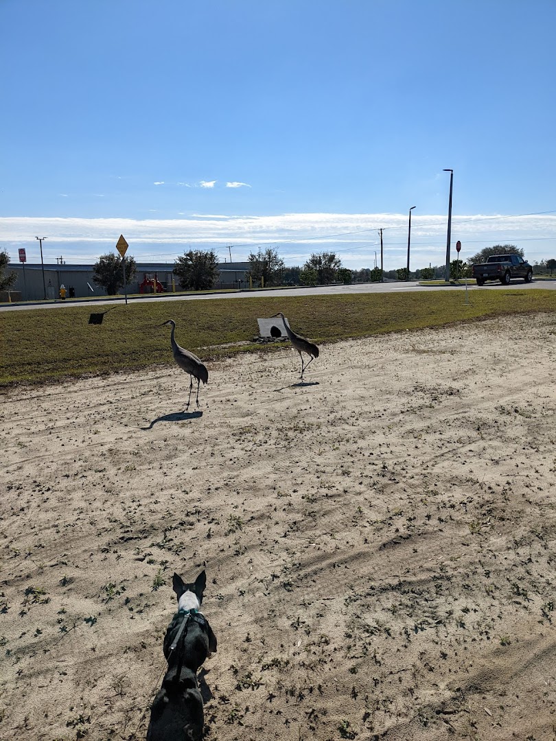 Winterhaven/Lake Wales Dog Park