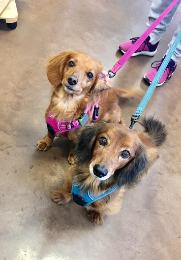 Pet Store «Uptown Petz», reviews and photos, 2351 Oregon Pike, Lancaster, PA 17601, USA