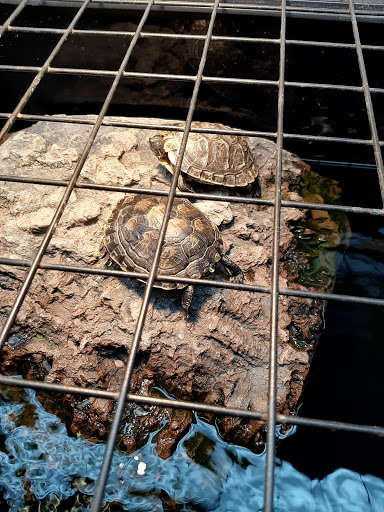 Pet Supply Store «Petco Animal Supplies», reviews and photos, 6672 Lonetree Blvd, Rocklin, CA 95765, USA