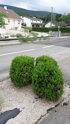 Demesmay à Vieilley