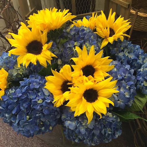 Florist «B & C Hillsborough Florist», reviews and photos, 601 US-206, Hillsborough Township, NJ 08844, USA