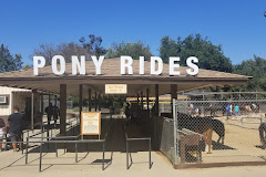 Griffith Park Pony Rides & Petting Zoo