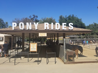 Griffith Park Pony Rides & Petting Zoo