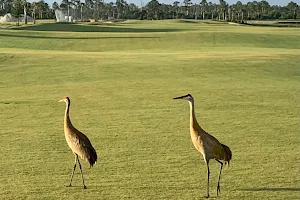 Babcock National Golf Club image
