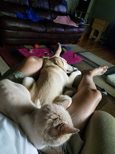 Pet Supply Store «Petco Animal Supplies», reviews and photos, 4950 S 76th St, Greenfield, WI 53220, USA