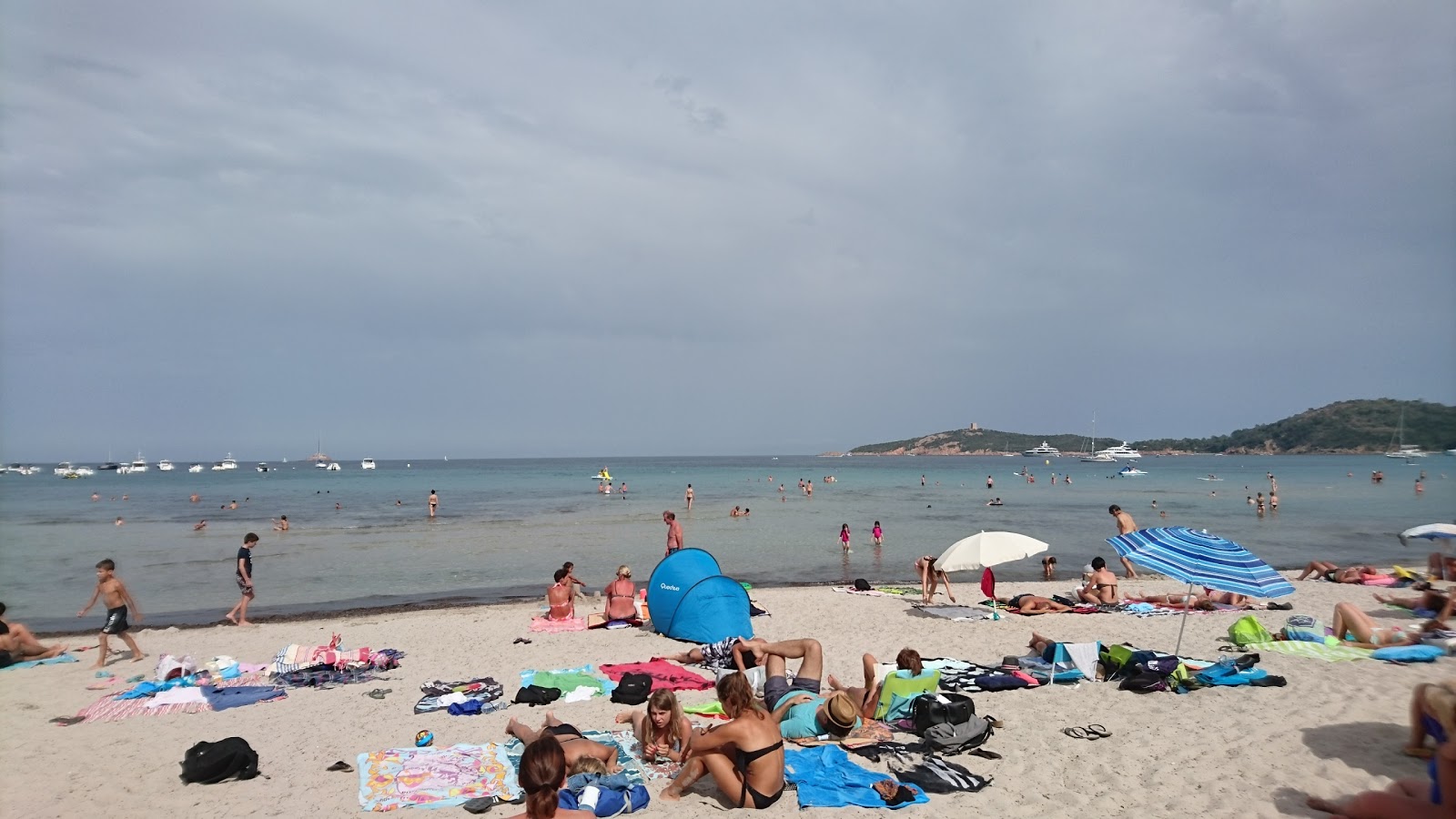 Photo de Plage de Pinarellu - endroit populaire parmi les connaisseurs de la détente