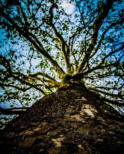 Museum «Friends of Hearthside», reviews and photos, 677 Great Rd, Lincoln, RI 02865, USA