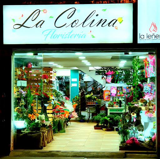 Floristería en Bogota La Colina - Flores a domicilio Bogota, Arreglos Florales, Ramos de Flores, Bonsai